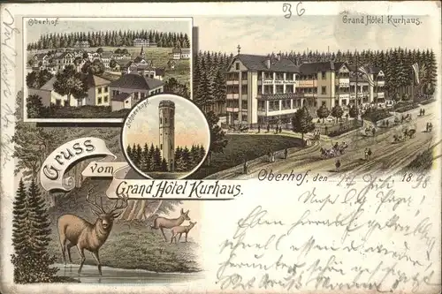 Oberhof Thueringen Grand Hotel Kurhaus Reh Kutsche