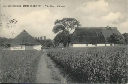 Brunshaupten Bauernhaeuser