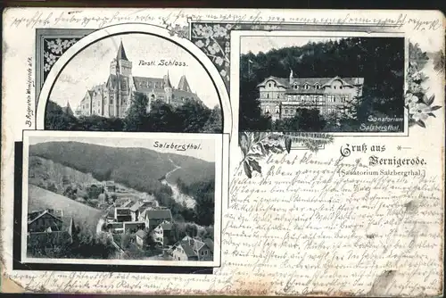 wx44962 Wernigerode Harz Schloss Sanatorium Salzbergthal Kategorie. Wernigerode Alte Ansichtskarten