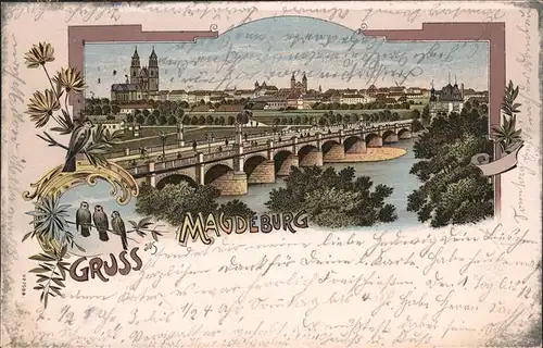 Magdeburg Voegel Bruecke