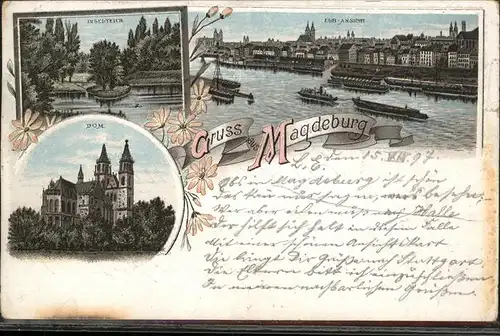 Magdeburg Dom Elb Ansicht Inselteich