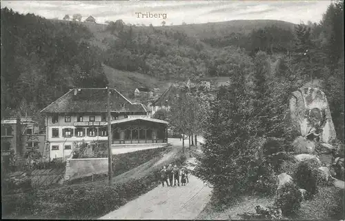 Triberg Teilansicht Kat. Triberg im Schwarzwald