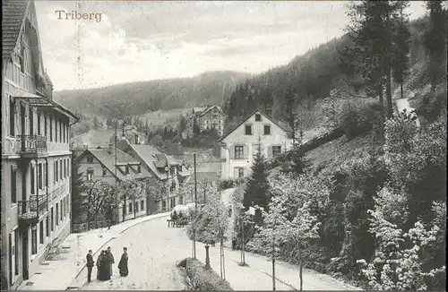 Triberg Teilansicht Kat. Triberg im Schwarzwald