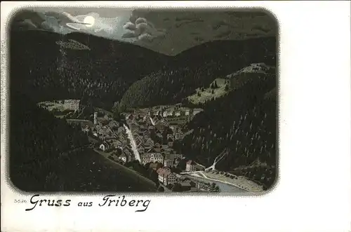 Triberg Totalansicht Kat. Triberg im Schwarzwald