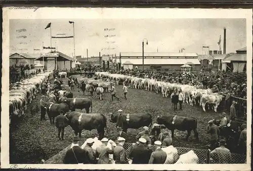 Muenchen Wander Ausstellung 1929 Kuehe Kat. Muenchen