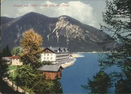 Plansee Hotel Forelle Kat. Breitenwang