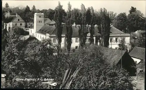 Bad Grosspertholz Schloss  Kat. Bad Grosspertholz