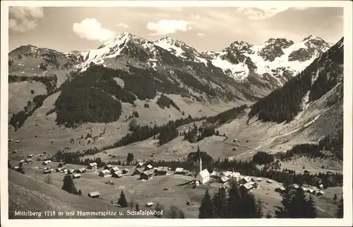 Mittelberg Kleinwalsertal Hammerspitze Schafalpkoepl