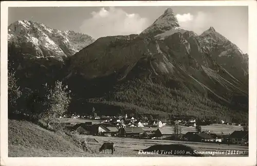 Ehrwald Tirol Sonnenspitze Kuehe / Ehrwald /