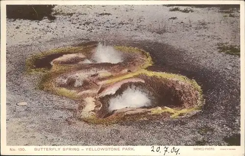 Yellowstone National Park Butterfly Spring Kat. Yellowstone National Park