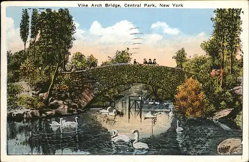 New York City Vine Arch Bridge / New York /