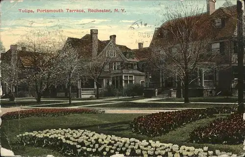 Rochester New York Tulips
Portsmouth Terrace Kat. Rochester