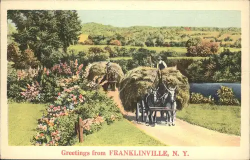 Franklinville New York Pferdefuhrwerke Kat. Franklinville