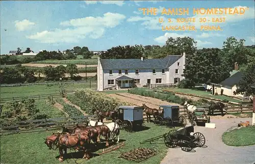 Lancaster Pennsylvania Amish Homestead Kat. Lancaster