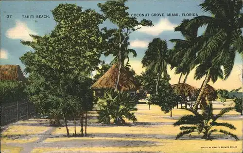 Miami Florida Tahiti Beach Coconut Grove Kat. Miami