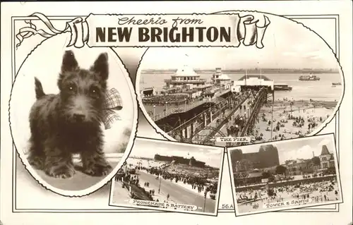 New Brighton Flintshire Pier
Sands Kat. Flintshire