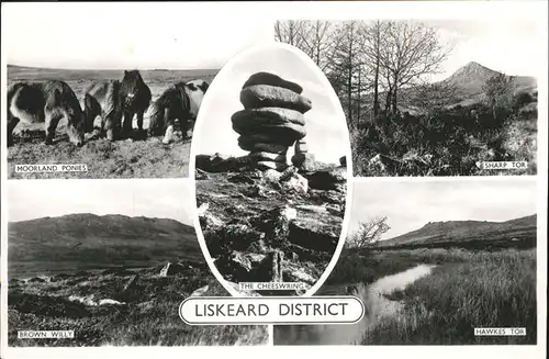 Liskeard Caradon Hawkes Tor Sharp Tor Moorland  Ponies Kat. Caradon