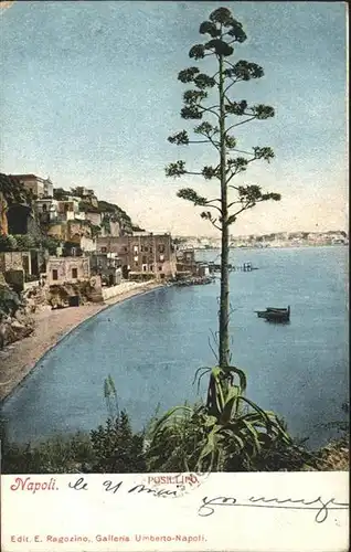 Napoli Posillipo x