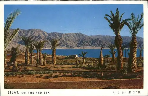 Eilat Red Sea / Eilat /