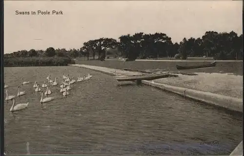 Poole Swans Park / Poole /Bournemouth and Poole