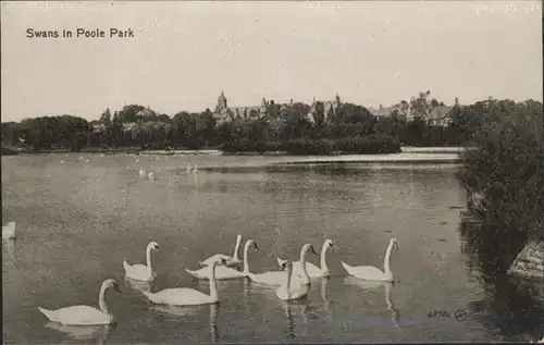 Poole Swans Park / Poole /Bournemouth and Poole