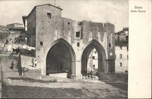 Siena Fonte Nuova / Siena /