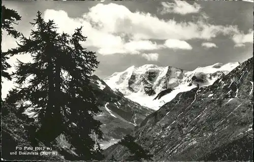 Piz Palue Bellavista / Piz Palue /Rg. Piz Bernina