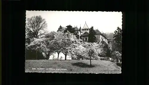 Blonay Chateau  / Blonay /Bz. Vevey