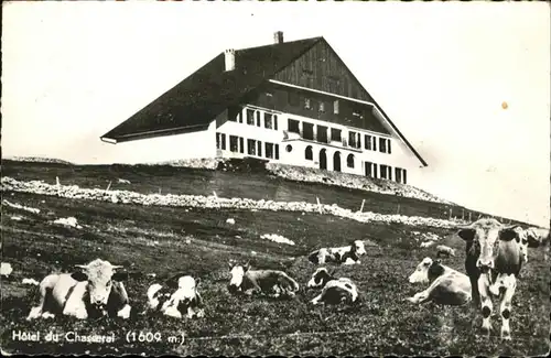 Chasseral BE Hotel Kuehe / Chasseral /Rg. Chasseral