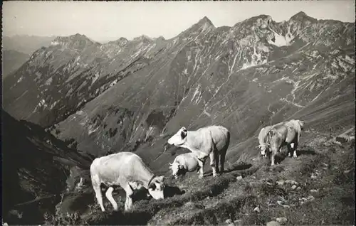 Rothorn Kulm Kuehe / Rothorn Kulm /Bz. Interlaken