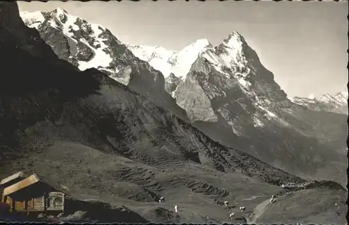 Grosse Scheidegg Mettenberg Moench Eiger / Scheidegg, Grosse /Rg. Meiringen