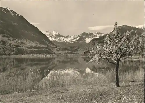 Bruenig BE Sarnersee / Bruenig /Bz. Oberhasli