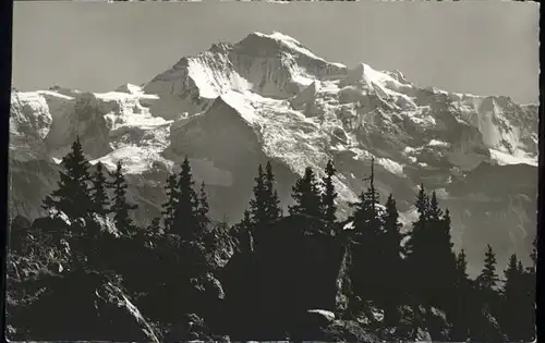 Schynige Platte Jungfrau / Schynige Platte /Rg. Lauterbrunnen