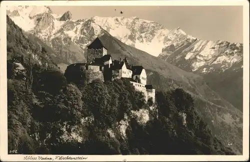 Vaduz Schloss  / Vaduz /