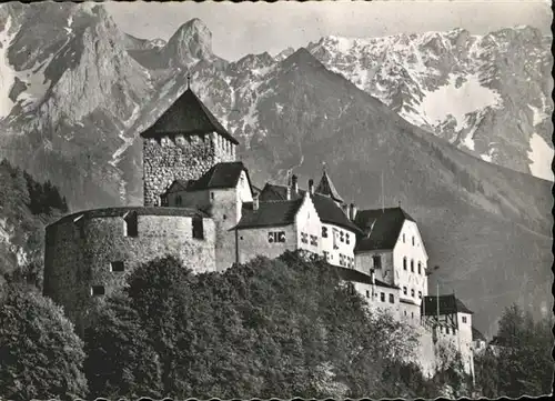 Vaduz Schloss  / Vaduz /