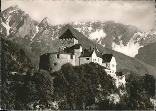 Vaduz Schloss  / Vaduz /