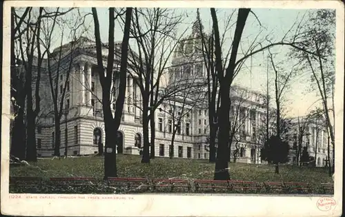 Harrisburg Pennsylvania State Capitol Throuch the Trees / Harrisburg /