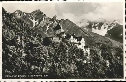 Vaduz Schloss  / Vaduz /