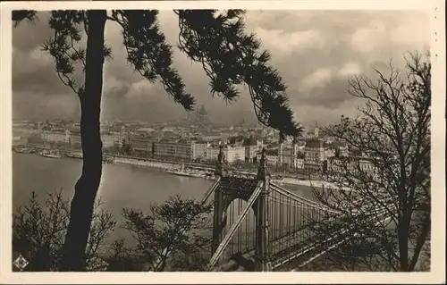 Budapest Schiff Bruecke / Budapest /