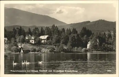 Villach Kaernten Magdalensee Strandbad Brandstaetter Schwan / Villach /Klagenfurt-Villach