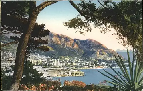 Monte-Carlo  / Monte-Carlo /