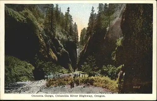 Oneonta Gorge Columbia River Highway Oregon / United States /