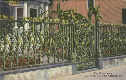 New Orleans Louisiana Corn Fence / New Orleans /