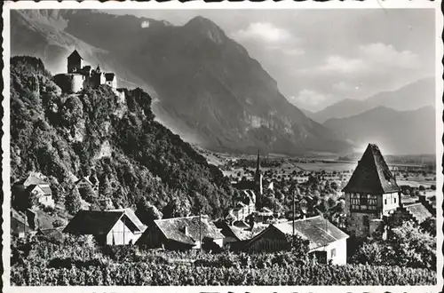 Vaduz Schloss  / Vaduz /