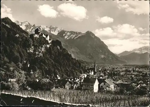 Vaduz Schloss  / Vaduz /