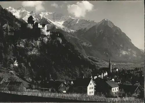 Vaduz Schloss  / Vaduz /