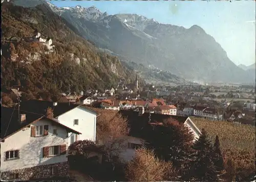 Vaduz Schloss  / Vaduz /