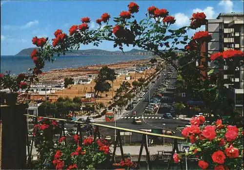 Riccione Rosen / Italien /