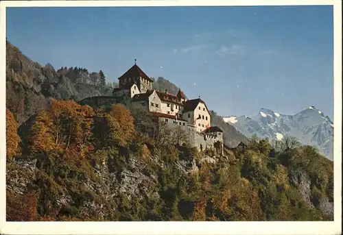 Vaduz Schloss  / Vaduz /