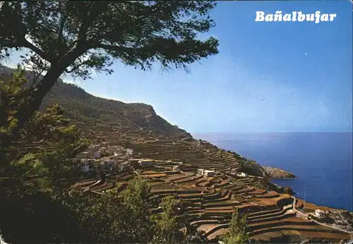 Mallorca Banalbufar / Spanien /